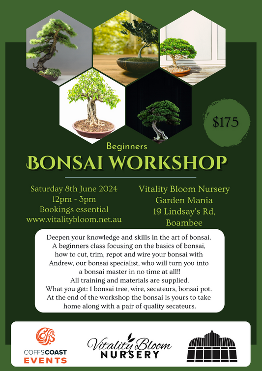 Bonsai Workshop June 8th