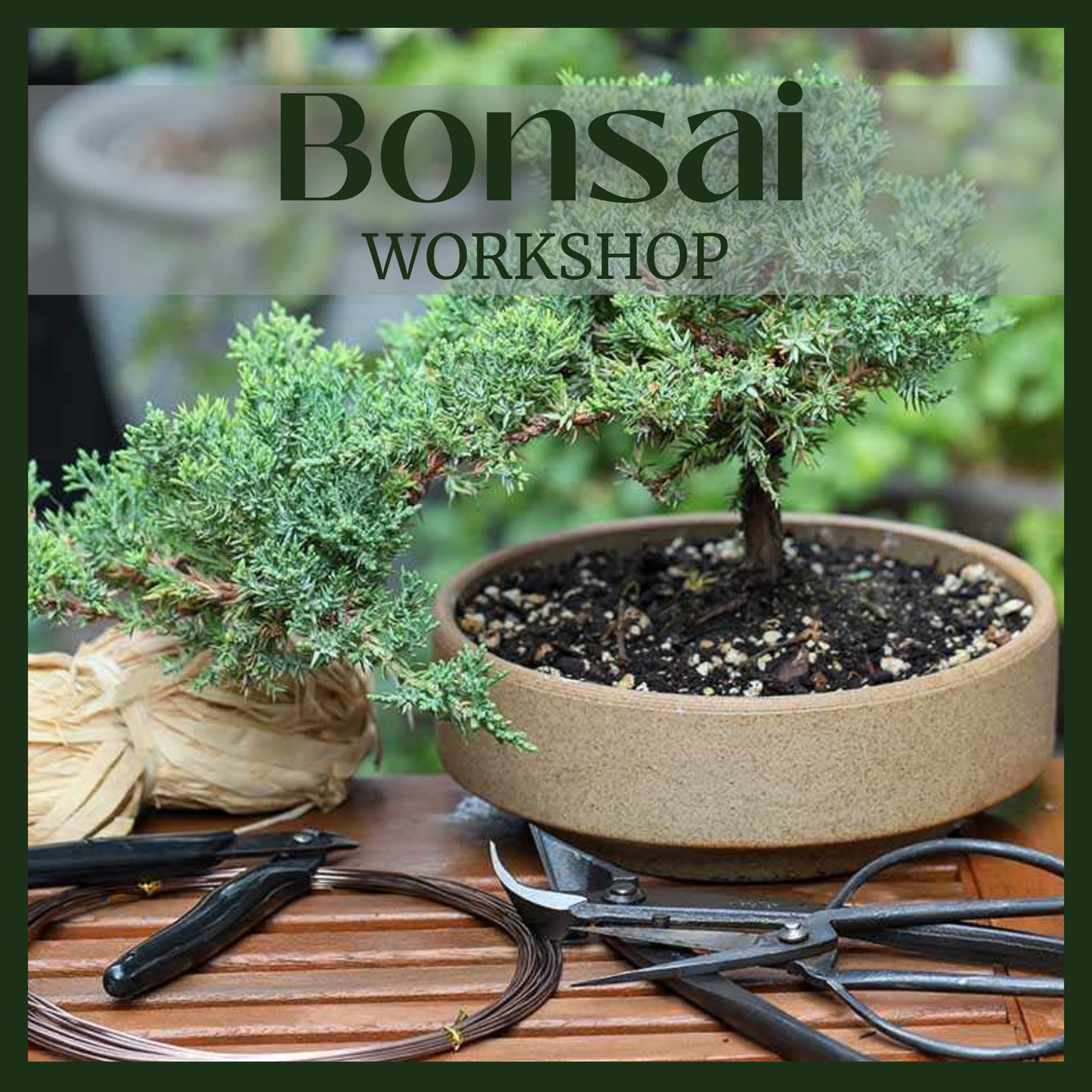 Bonsai Workshop March