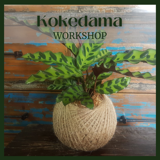 Kokedama Workshop