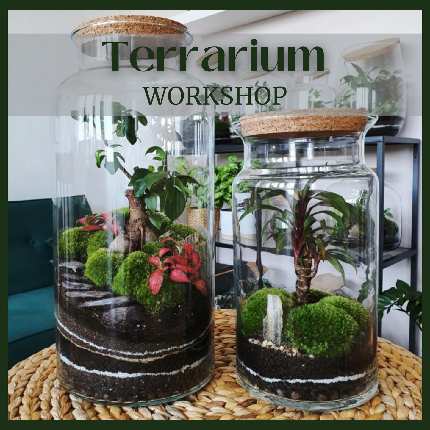 Terrarium Workshop March 2025