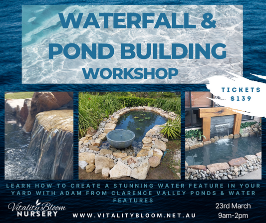 Waterfall & Pond Building Workshop